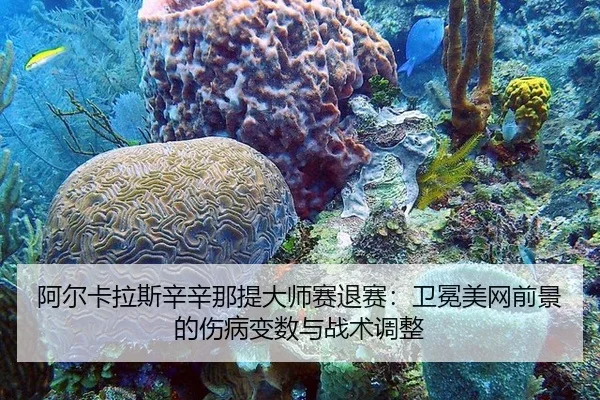 阿尔卡拉斯辛辛那提大师赛退赛：卫冕美网前景的伤病变数与战术调整